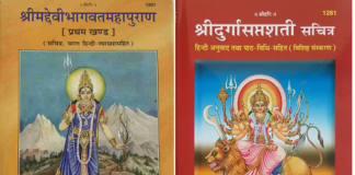 Difference between Devi Bhagavatam and Devi Mahatmyam ?