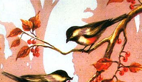 story of two birds - Mundaka Upanishad