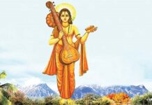 Why did Daksha Prajapati curse Narada Muni ?