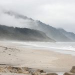 41d000_b73e9d23f2f04a559e240625443013d9