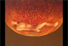 Why does Veda negate itself saying “Veda cannot reach there”? अत्र भवति वेदा अवेदाः