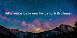 Difference between Purusha and Brahman