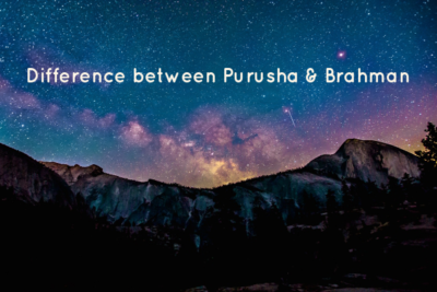 Difference between Purusha and Brahman