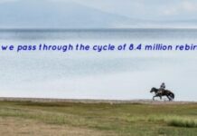 Do we take rebirth after death and pass through the cycle of 8.4 million species? Does we take rebirth ?
