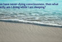 If we really have never-dying consciousness, then what exactly am I doing while I am sleeping?