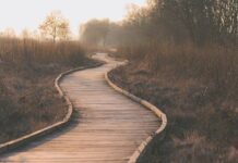 Which is the correct path for Moksha, Karma Yoga or Gyan Yoga ?