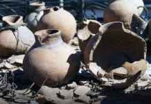 साक्षी देहनाशे न नश्यति साक्षी देहनाशे न नश्यति