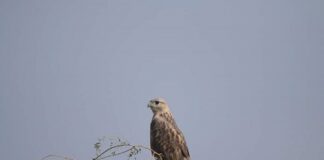 Without seer world has no existence Without seer world has no existence