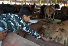 Doership depends on body as an instrument doership