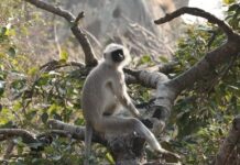 मैं कोन हूं ? किसने मुझे इस लोक में भेजा है ? मैं कोन हूं ? किसने मुझे इस लोक में भेजा है ?