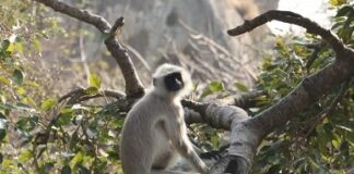 मैं कोन हूं ? किसने मुझे इस लोक में भेजा है ? मैं कोन हूं ? किसने मुझे इस लोक में भेजा है ?