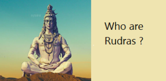 Who are eleven Rudras ?