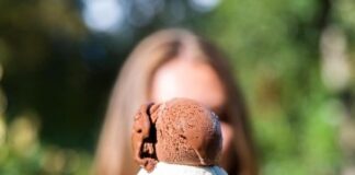 यदि भोग ही उद्देश्य हैं