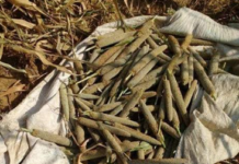 सस्यमिव मर्त्यः पच्यते सस्यमिव मर्त्यः पच्यते