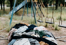 What is the meaning of “वासांसि जीर्णानि यथा विहाय” ? वासांसि जीर्णानि यथा विहाय