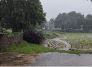 आकाशात् पतितं तोयम्