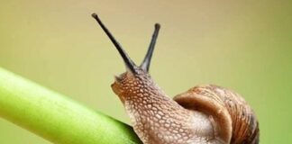 Purpose of Life Purpose of life - Veda Boys