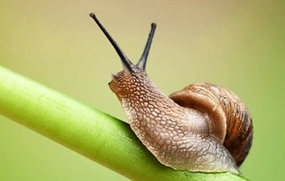 Purpose of life - Veda Boys Purpose of life - Veda Boys