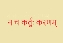 न च कर्तुः करणम् न च कर्तुः करणम्